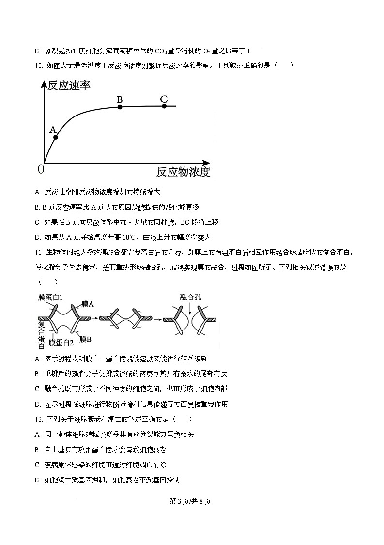 湖南省株洲市天元区株洲市第二中学2025-2026学年高一下学期学期自测生物试题  Word版无答案第3页