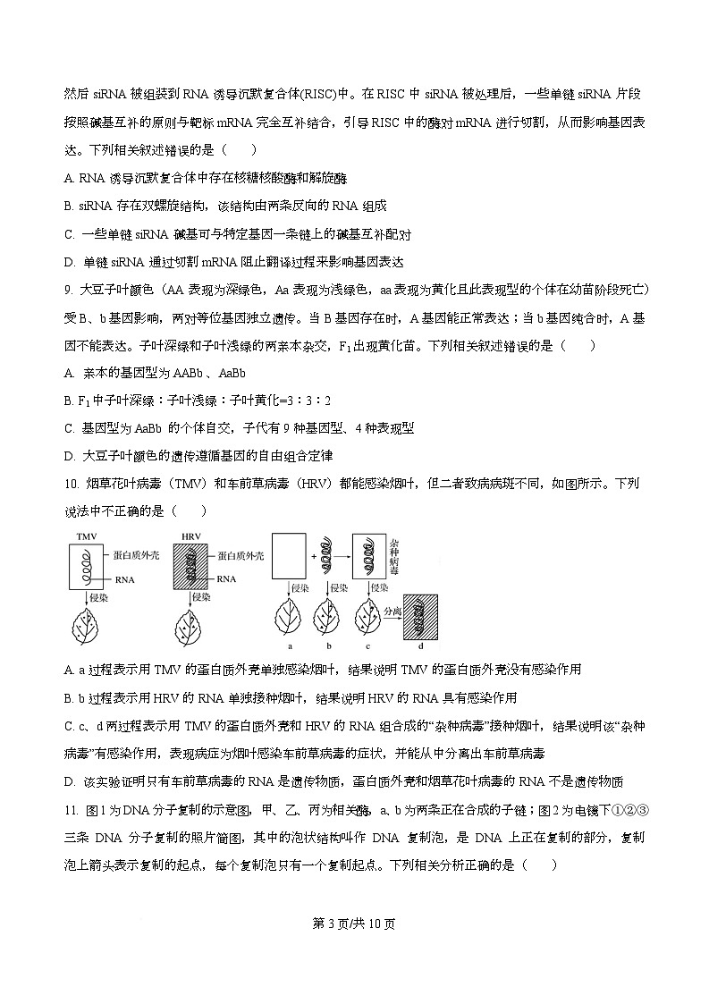 四川省资阳市安岳中学2024-2025学年高一（强基班）下学期3月月考生物试题（原卷版）第3页