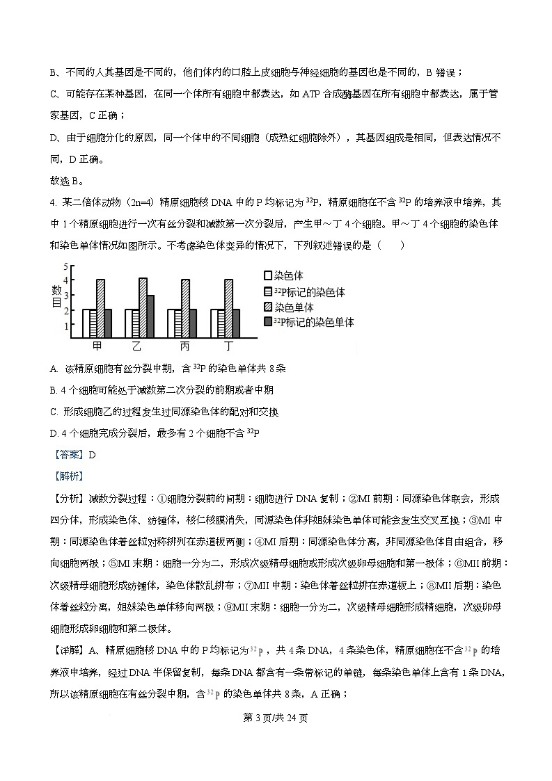 四川省资阳市安岳中学2024-2025学年高一（强基班）下学期3月月考生物试题 Word版含解析第3页