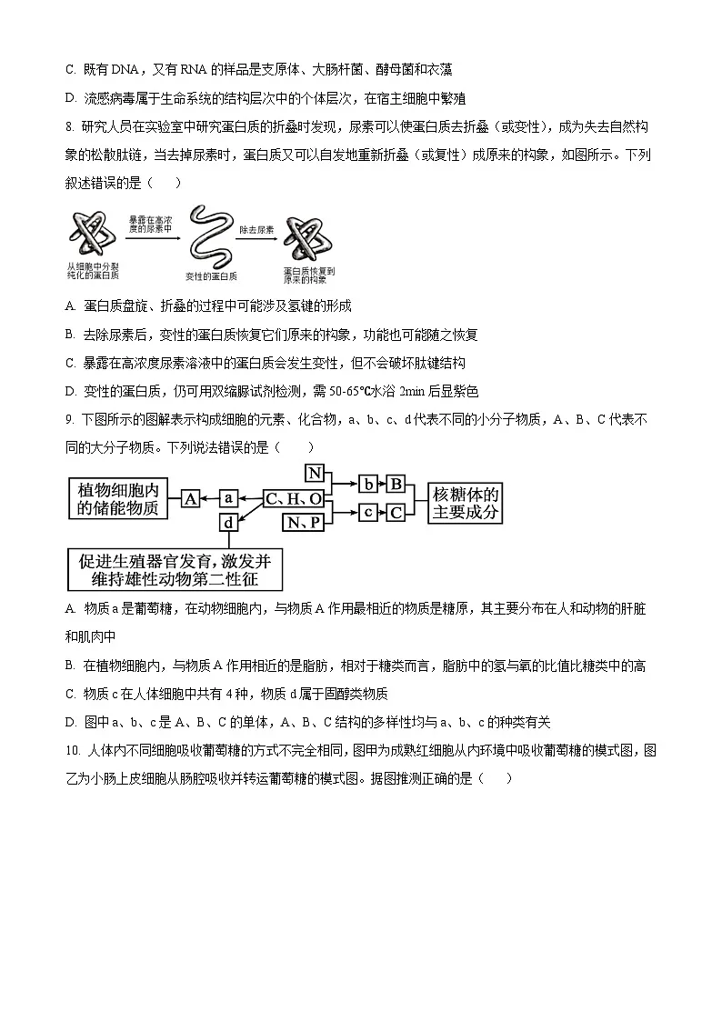 四川省资阳市安岳中学2024-2025学年高一下学期学情自测生物试题（强基班）（原卷版）第3页