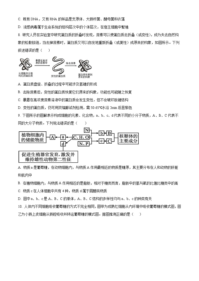 四川省资阳市安岳中学2024-2025学年高一下学期学情自测生物试题（强基班）（原卷版）第3页