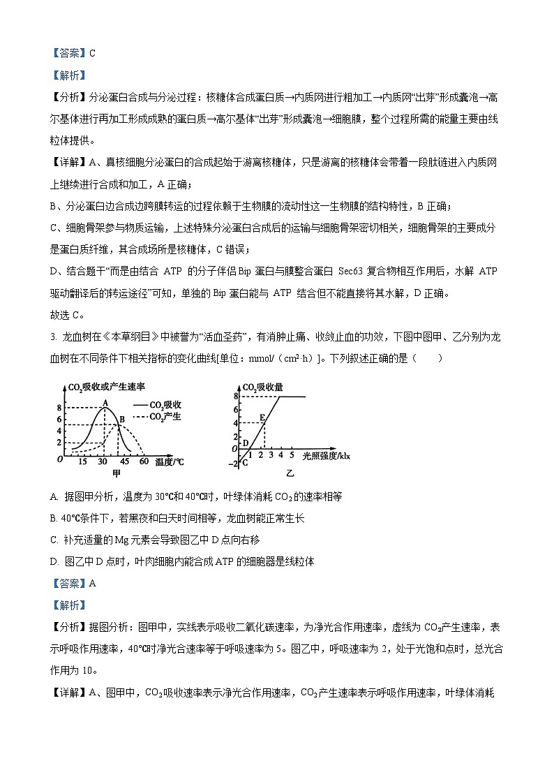 四川省资阳市安岳中学2024-2025学年高一下学期学情自测生物试题（强基班） Word版含解析第2页