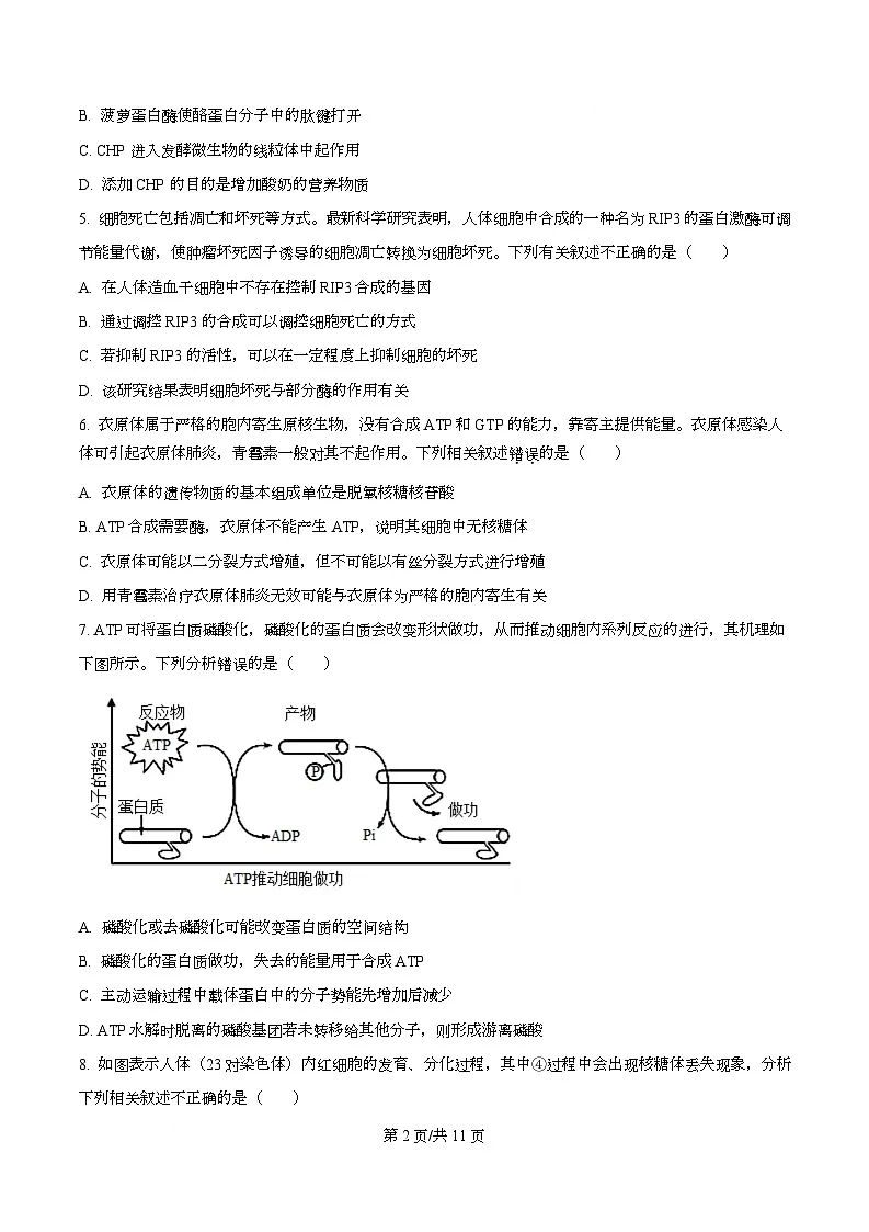 四川省资阳市安岳中学2024-2025学年高一下学期学情自测生物试题（原卷版）第2页