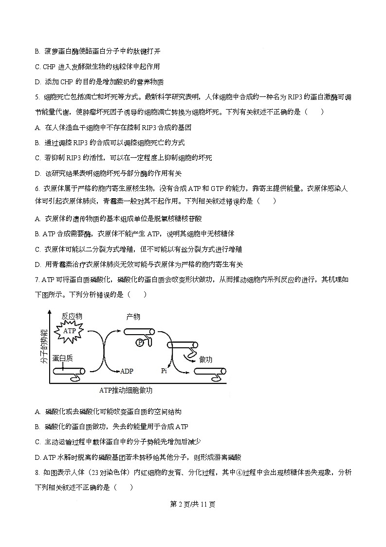 四川省资阳市安岳中学2024-2025学年高一下学期学情自测生物试题（原卷版）第2页