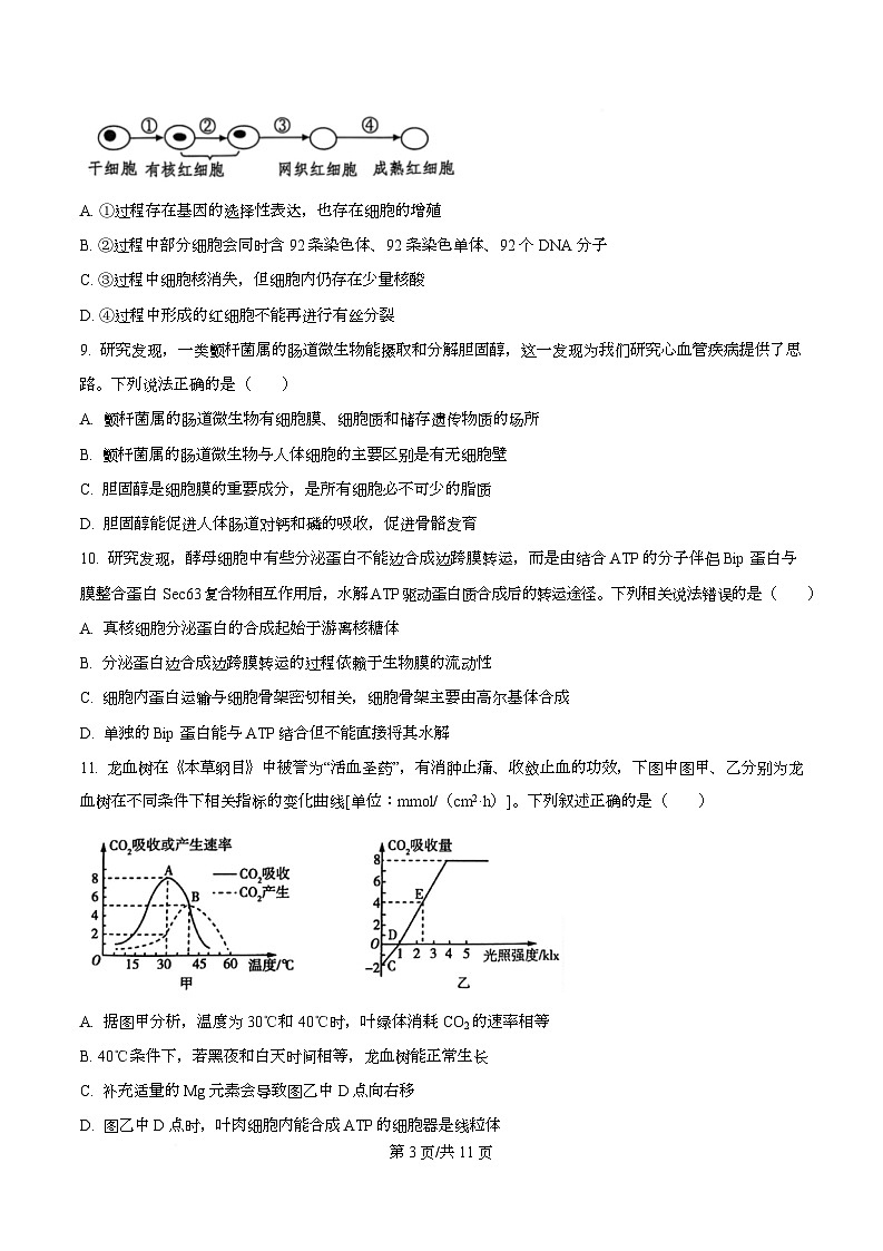 四川省资阳市安岳中学2024-2025学年高一下学期学情自测生物试题（原卷版）第3页
