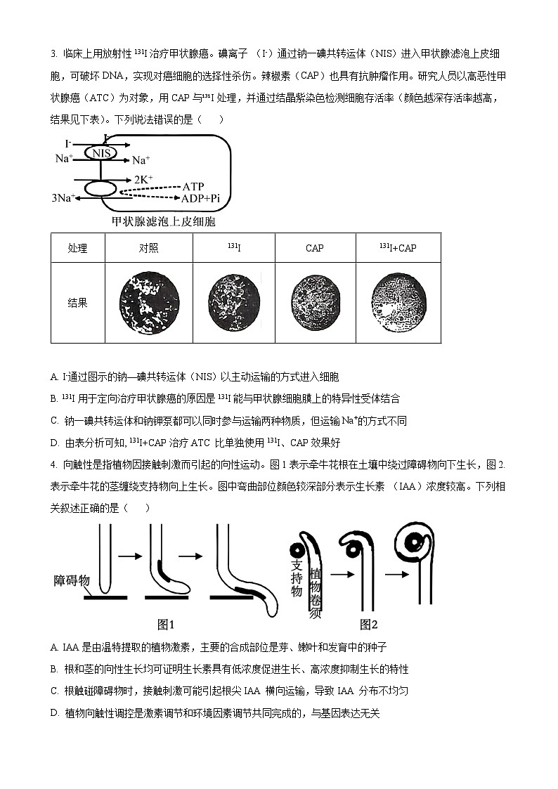 重庆市重庆市第八中学2026届高三下学期开学生物试题（原卷版）第2页