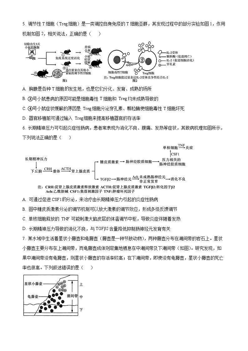 重庆市重庆市第八中学2026届高三下学期开学生物试题（原卷版）第3页