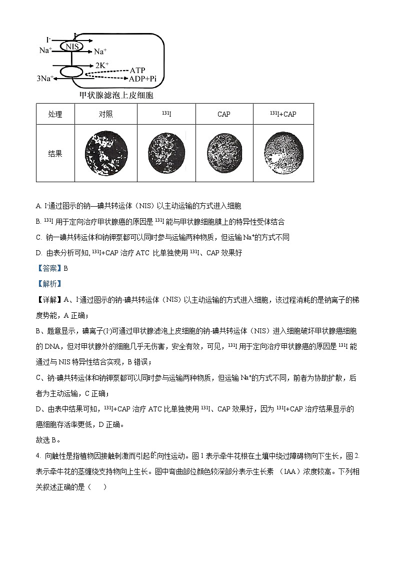重庆市重庆市第八中学2026届高三下学期开学生物试题 Word版含解析第3页