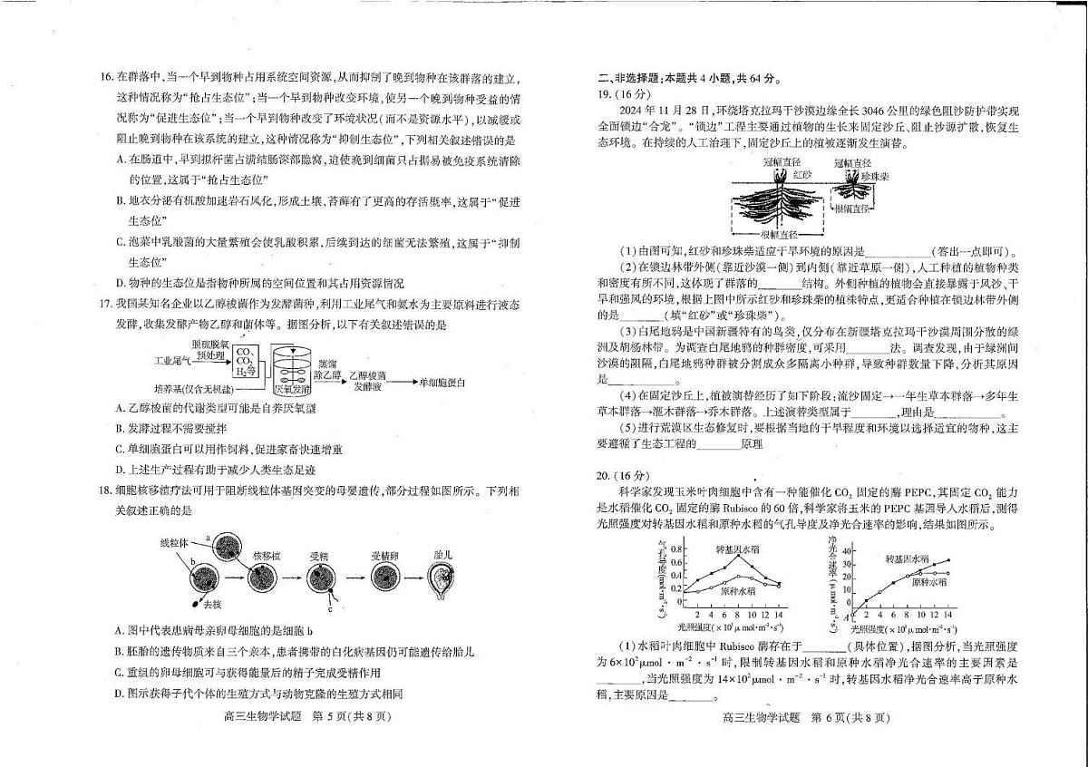 生物-湖北省襄阳市高三年级2026年3月统一调研测试试卷及答案第3页