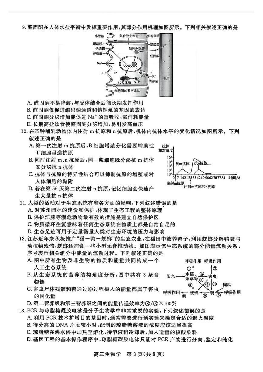 生物-江苏省顶尖九校2026届高考一模联考（南师附中、苏州、天一、扬州、南通、如皋、启东、常州、盐城中学）试题及答案第3页