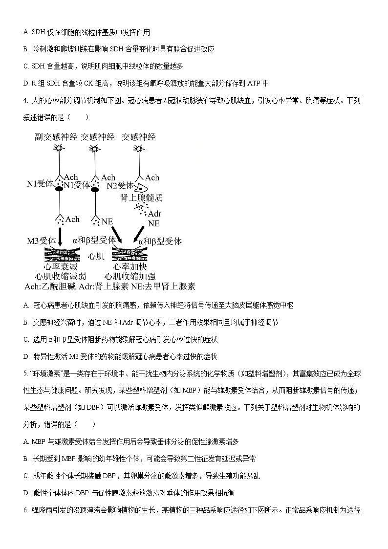 安徽马鞍山市2025—2026学年高三上月考第一次教学质量监测生物试卷（学生版）第2页