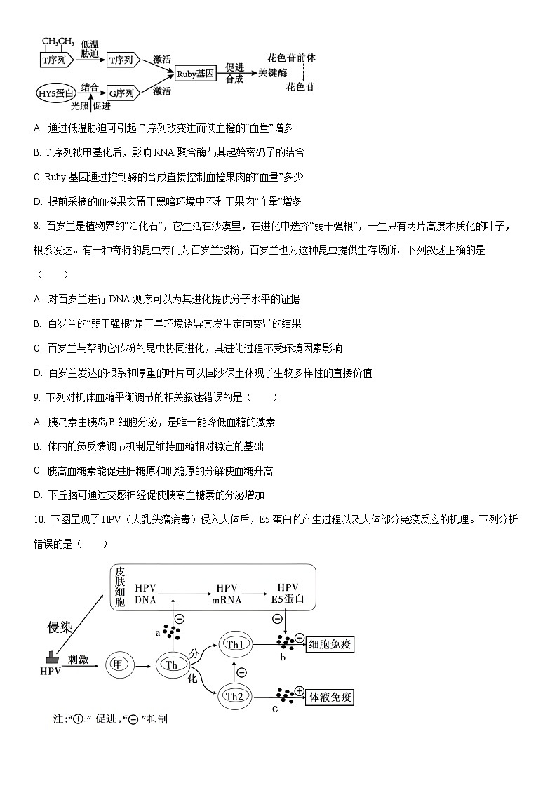 贵州省铜仁市2026年高三上2月期末质量监测生物试卷（学生版）第3页