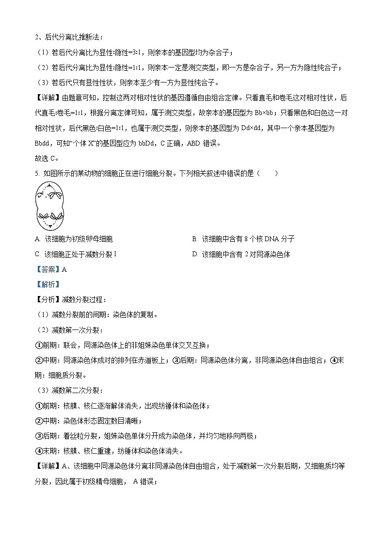 安徽省芜湖市2022-2023学年高一下学期期末生物试题  含解析第3页