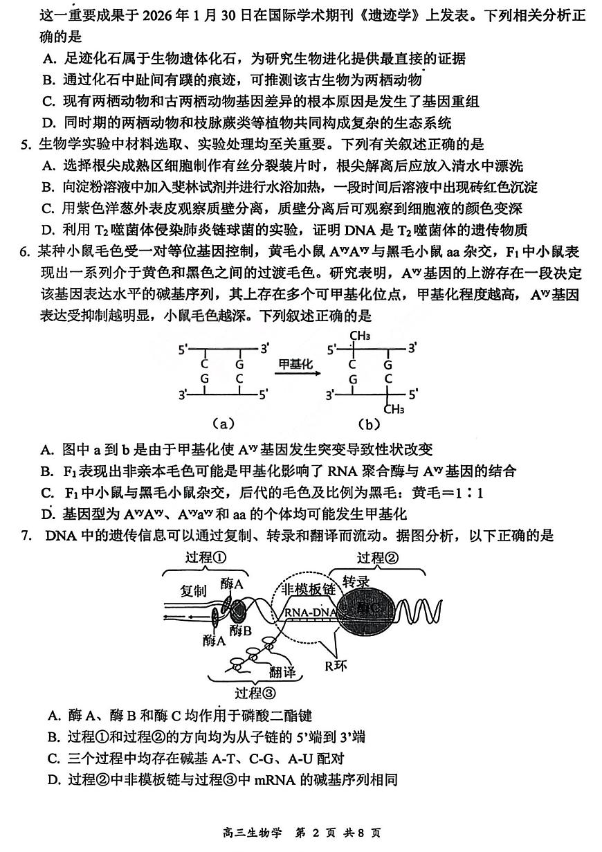 2026届高三年级第一次模拟考试质量监测试卷 生物第2页