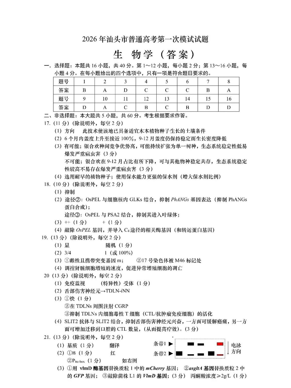 2026年汕头市普通高考第一次模拟考试 生物答案第1页
