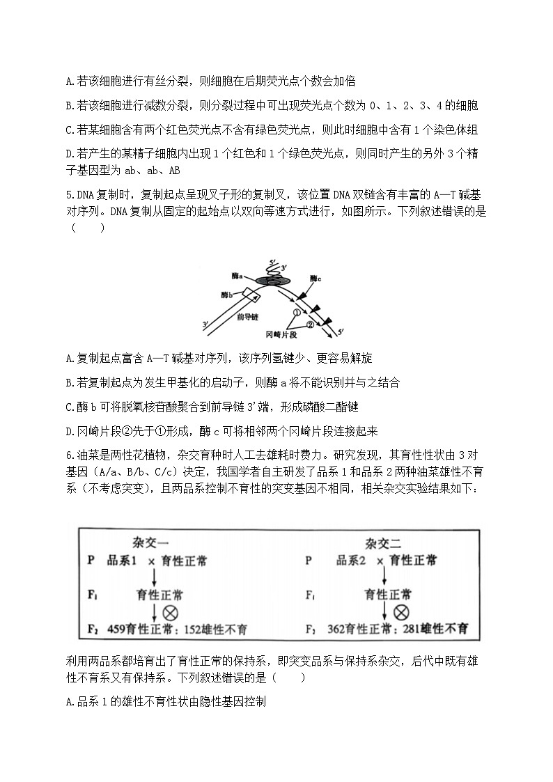 2026届山东聊城市下学期高三一模 生物试题+答案第2页