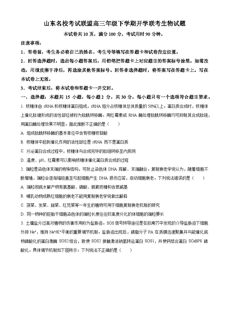 山东省名校联盟2024届高三下学期开学考试生物试题 含答案第1页