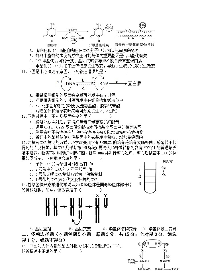 江苏省无锡市四校2022-2023学年高一下学期4月期中联考试题+生物 含答案第3页