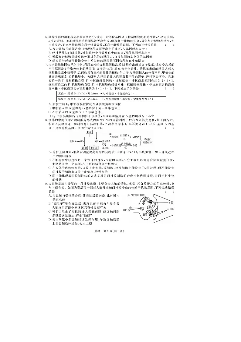 河北省衡水中学2022—2023学年度下学期高三年级第四次综合素养测评 生物试题 附答案第2页