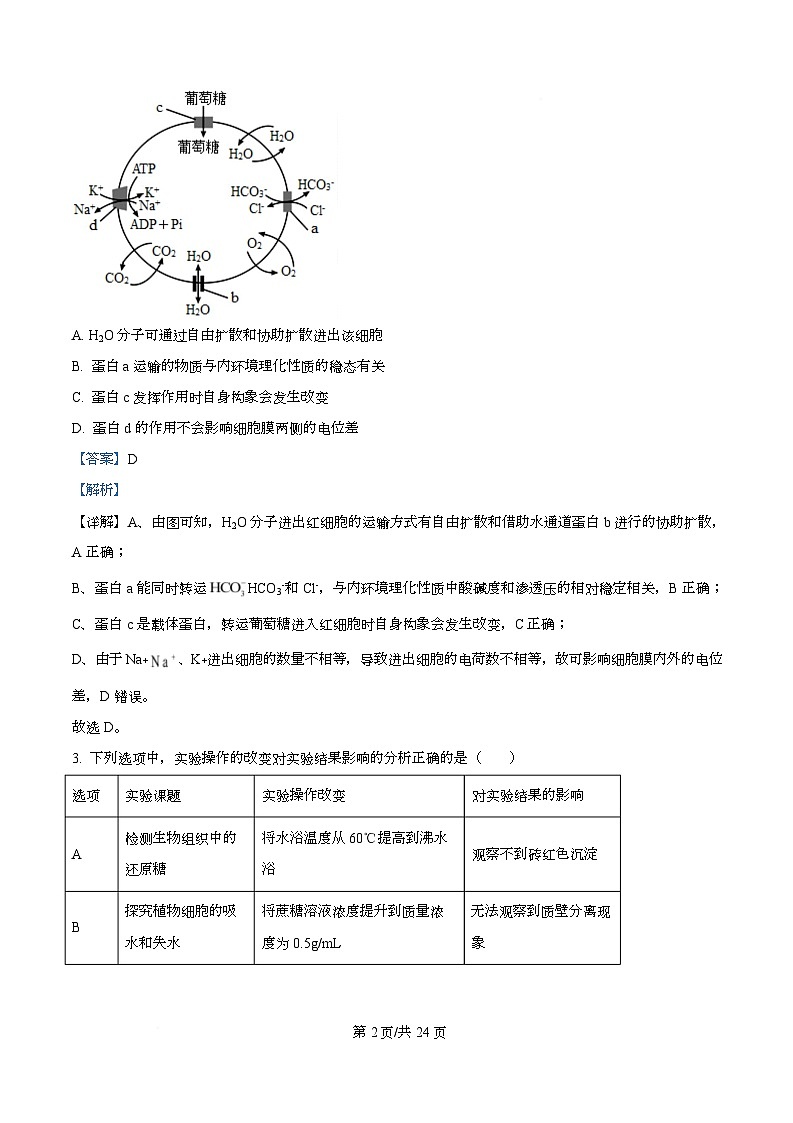 湖南新高考教学教研联盟2026届高三3月第一次（二模）联考生物学试题 Word版含解析第2页