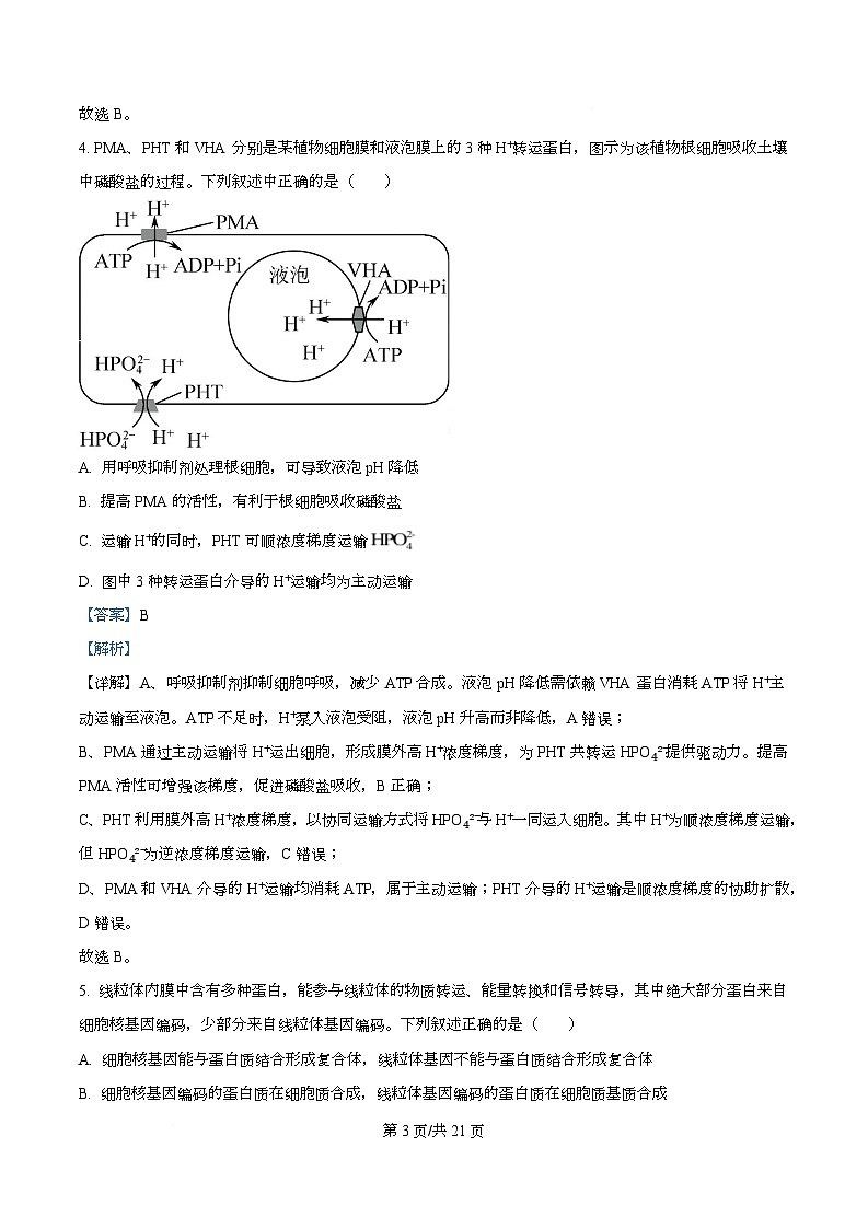 湖南省长沙市第一中学2025-2026学年高三下学期开学生物试题 Word版含解析第3页