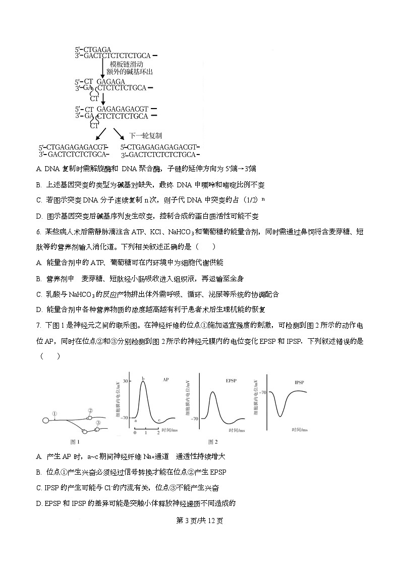 湖南省长沙市雅礼中学2025-2026学年高三下学期开学生物试题（原卷版）第3页