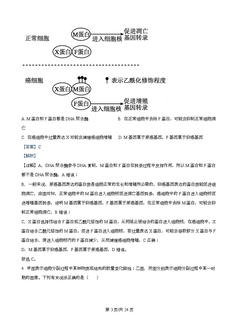 湖南省长沙市雅礼中学2025-2026学年高三下学期开学生物试题 Word版含解析第3页
