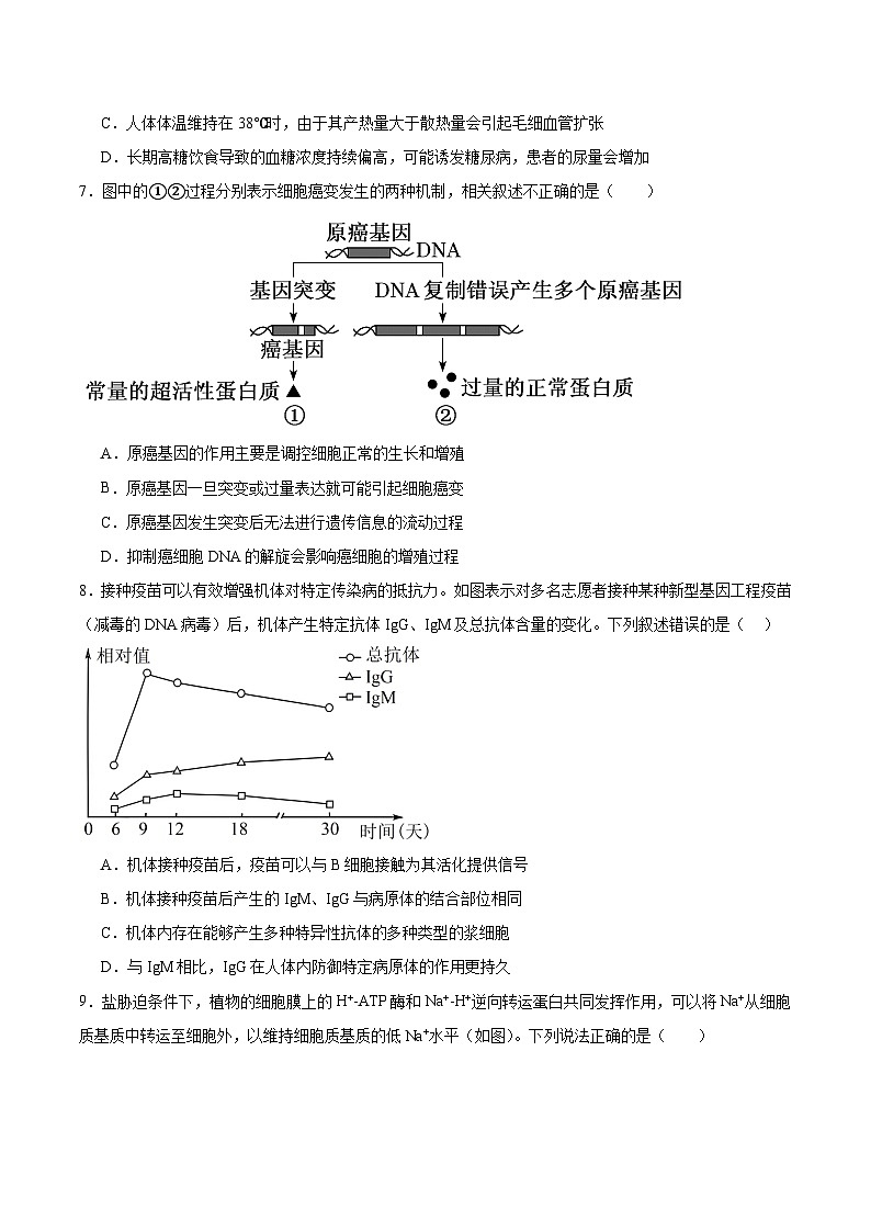 辽宁省葫芦岛市2026届高三上学期1月期末考试生物试题（Word版附答案）第2页