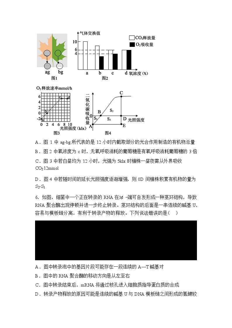 河南省信阳高级中学新校(贤岭校区)2025-2026学年高三下学期03月二轮测试(一)生物试题含答案第3页