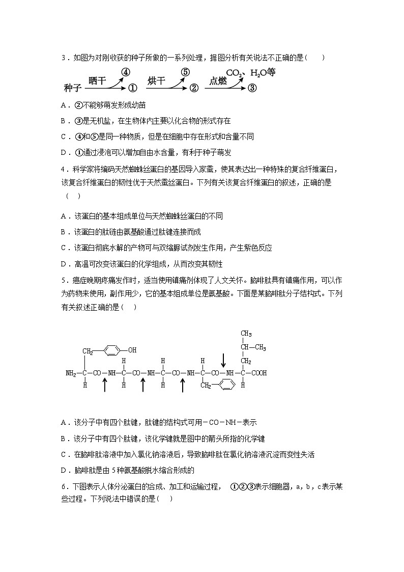 河南信阳高级中学北湖校区2025-2026学年高一下学期03月测试(一)生物试题含答案第2页