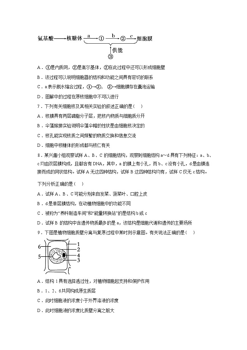 河南信阳高级中学北湖校区2025-2026学年高一下学期03月测试(一)生物试题含答案第3页