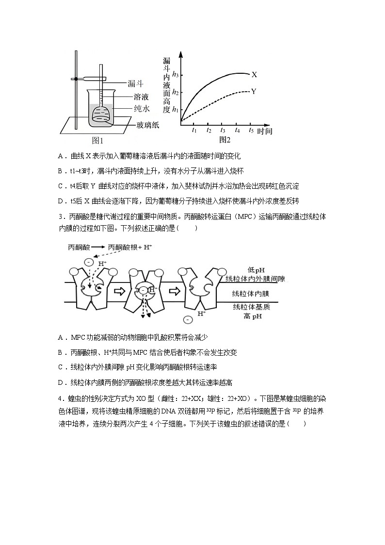河南信阳高级中学北湖校区2025-2026学年高三下学期3月测试(一)生物试题含答案第2页