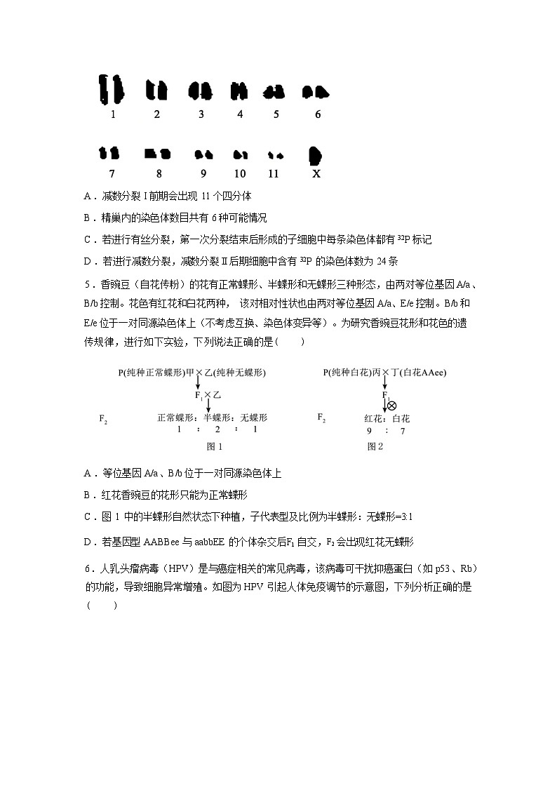 河南信阳高级中学北湖校区2025-2026学年高三下学期3月测试(一)生物试题含答案第3页