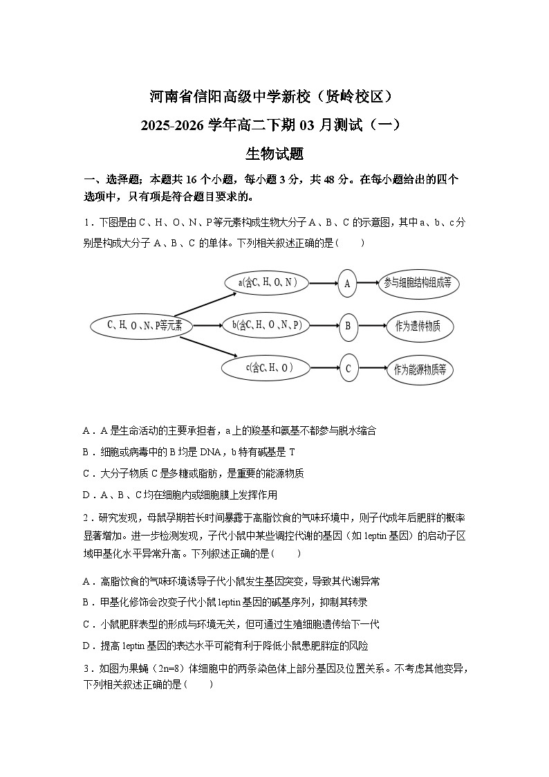 河南信阳高级中学新校(贤岭校区)2025-2026学年高二下学期03月测试(一)含答案第1页