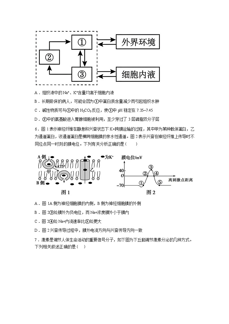河南信阳高级中学新校(贤岭校区)2025-2026学年高二下学期03月测试(一)含答案第3页