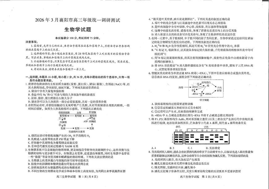 2026年3月襄阳市高三年级统一调研测试 生物第1页