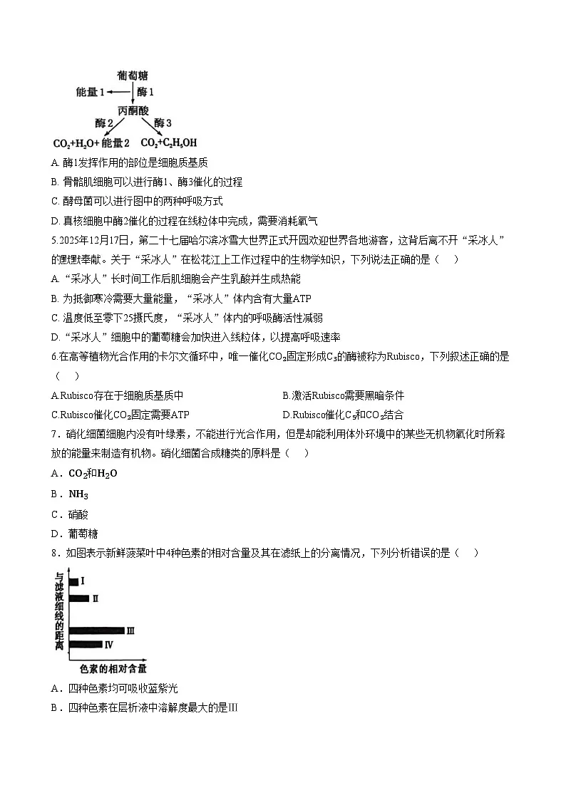 新疆塔城地区第一高级中学2025_2026学年第2学期高一开学考试生物试卷(文字版含答案)第2页