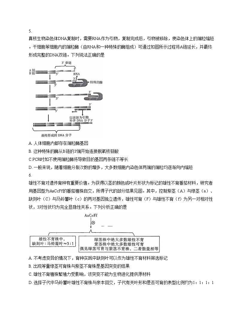 湖南省长沙市开福区湖南省长沙市第一中学2025_2026学年高三上学期11月月考生物试题（文字版，含答案）第2页