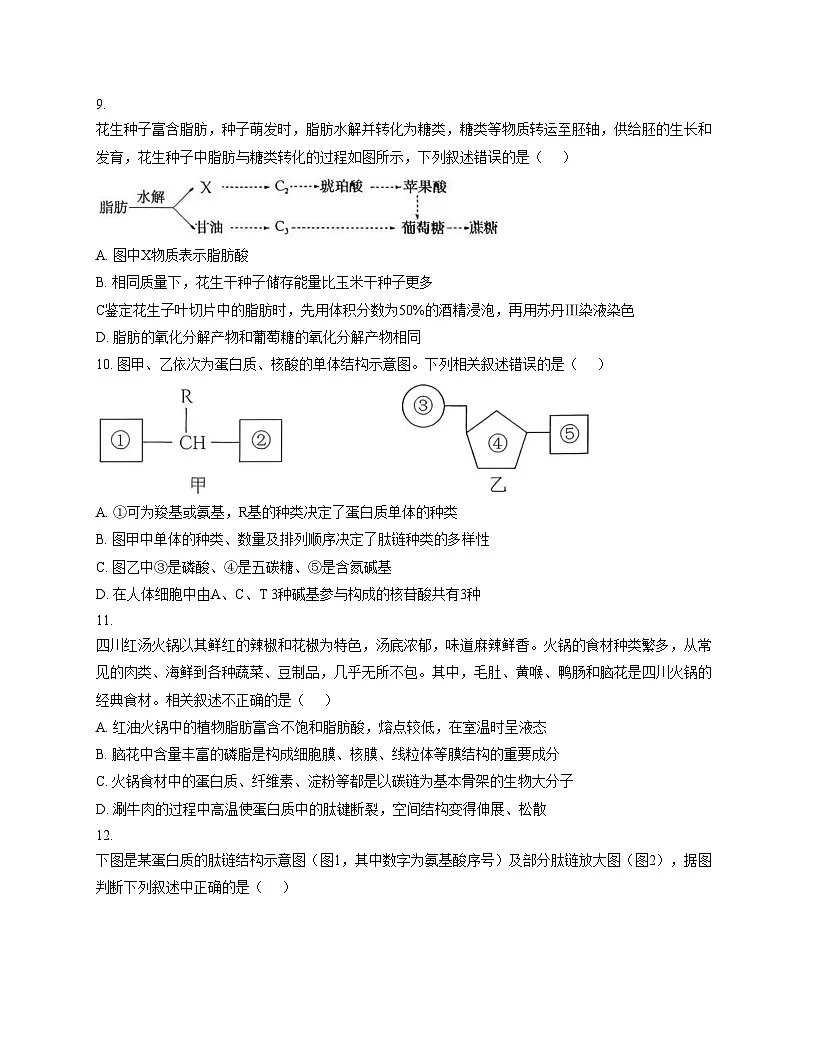 江苏省扬州大学附属中学2025_2026学年高一上学期11月期中生物试题（文字版，含答案）第2页