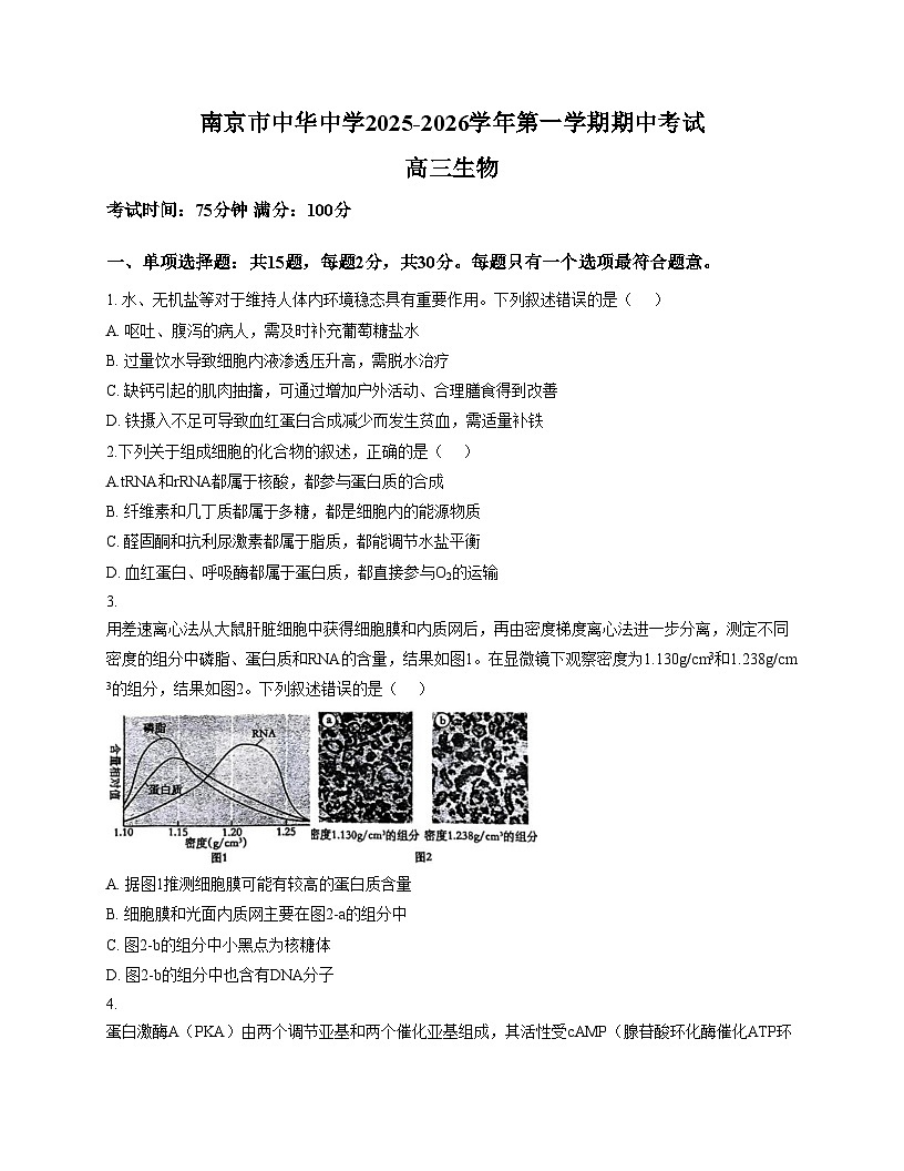 江苏省南京市中华中学2026届高三上学期11月期中考试生物试卷（文字版，含答案）第1页