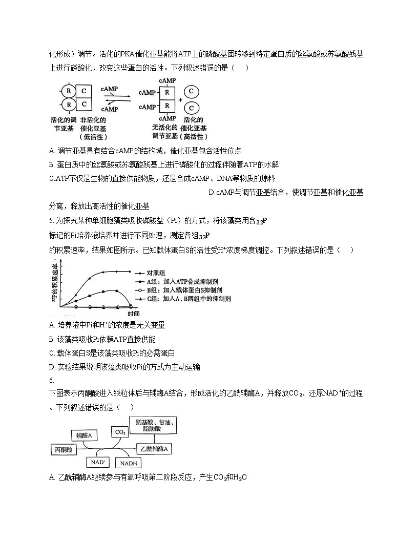 江苏省南京市中华中学2026届高三上学期11月期中考试生物试卷（文字版，含答案）第2页