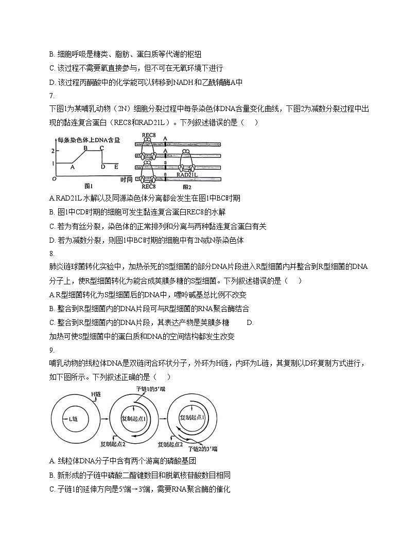 江苏省南京市中华中学2026届高三上学期11月期中考试生物试卷（文字版，含答案）第3页