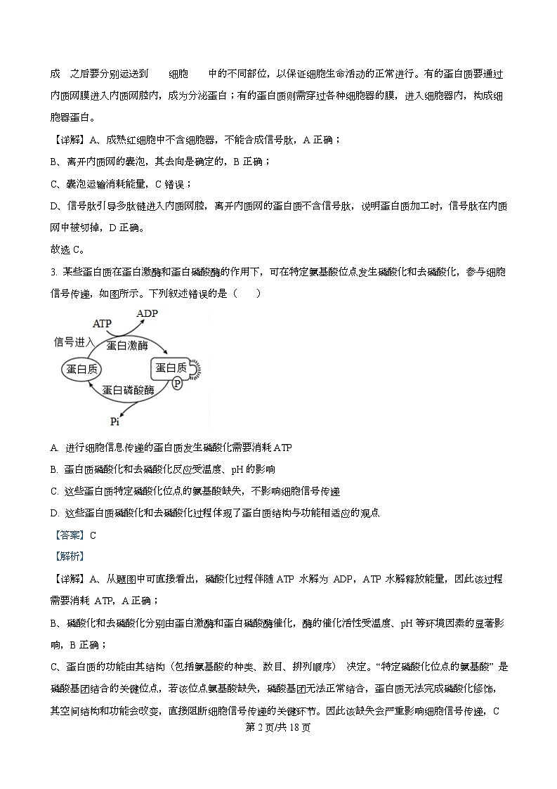 湖南省株洲市天元区株洲市第二中学2025-2026学年高一下学期学期自测生物试题 Word版含解析第2页