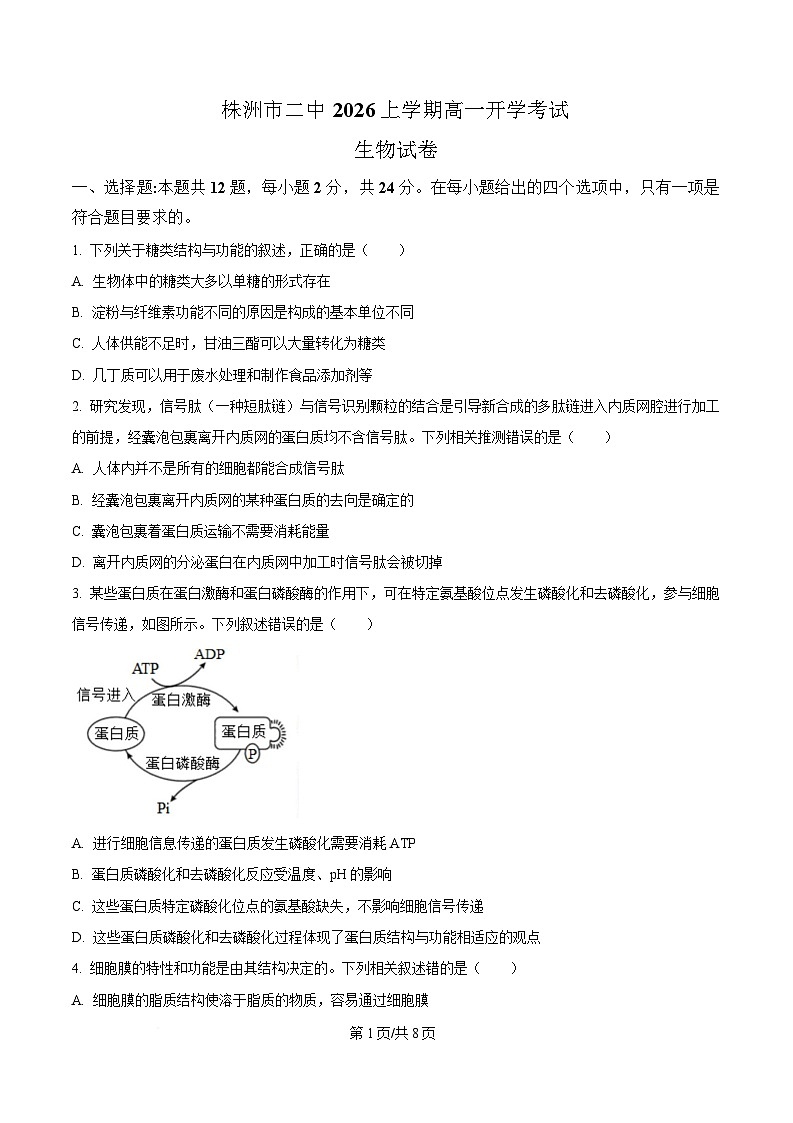 湖南省株洲市天元区株洲市第二中学2025-2026学年高一下学期学期自测生物试题 Word版含答案第1页