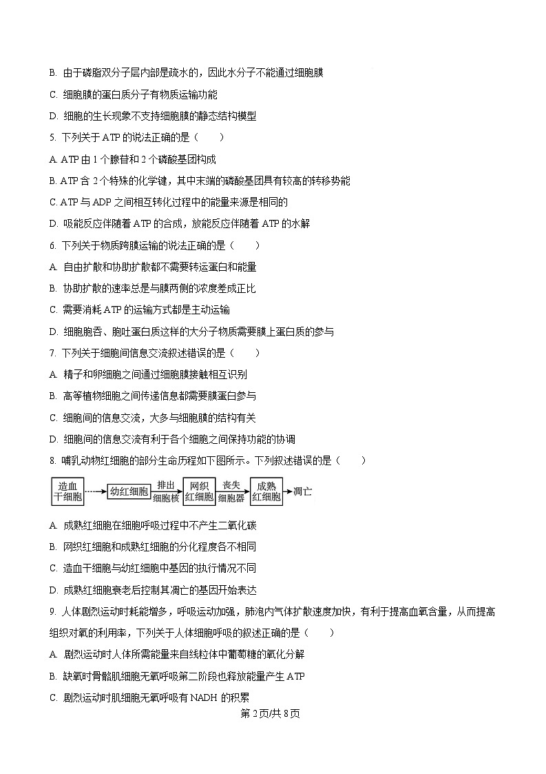 湖南省株洲市天元区株洲市第二中学2025-2026学年高一下学期学期自测生物试题 Word版含答案第2页