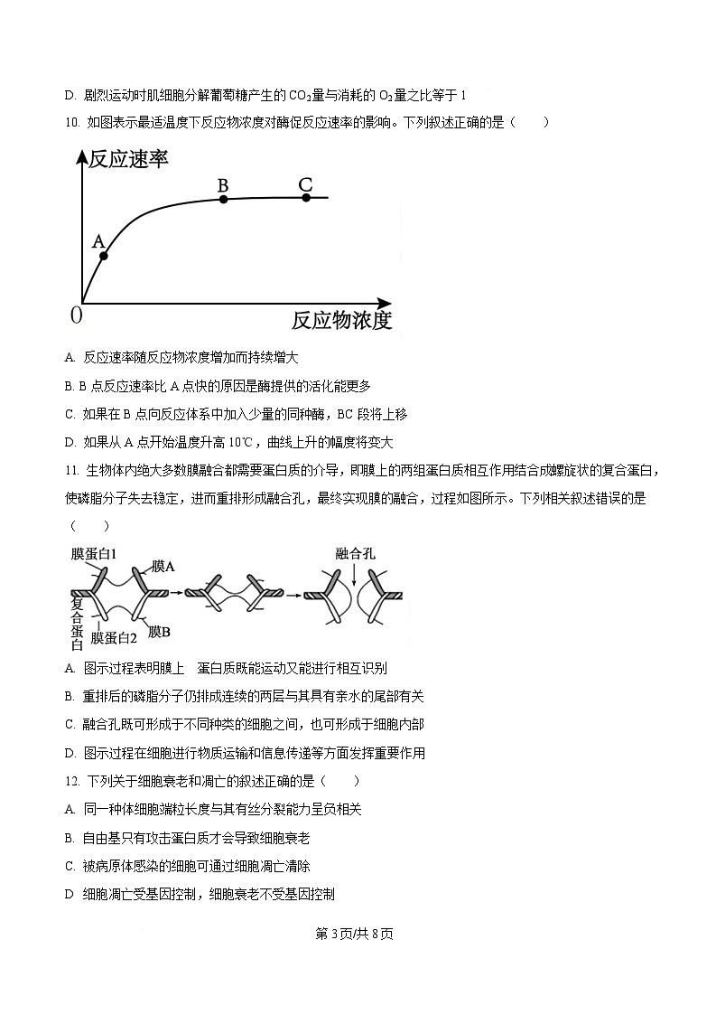 湖南省株洲市天元区株洲市第二中学2025-2026学年高一下学期学期自测生物试题 Word版含答案第3页