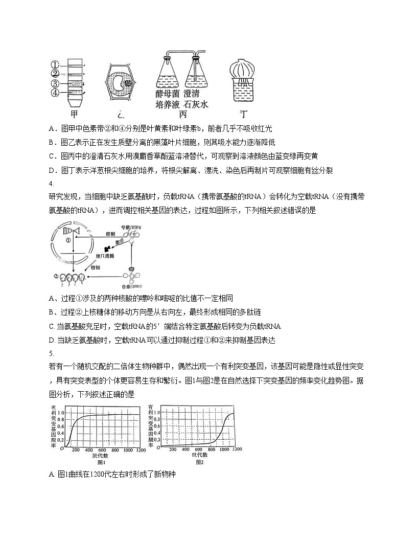 2026届广东省六校联盟高三第三次联考生物试题（文字版，含答案）第2页