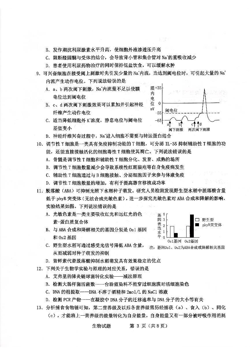 烟台市2026年高考模拟诊断性测试 生物试卷+答案第3页