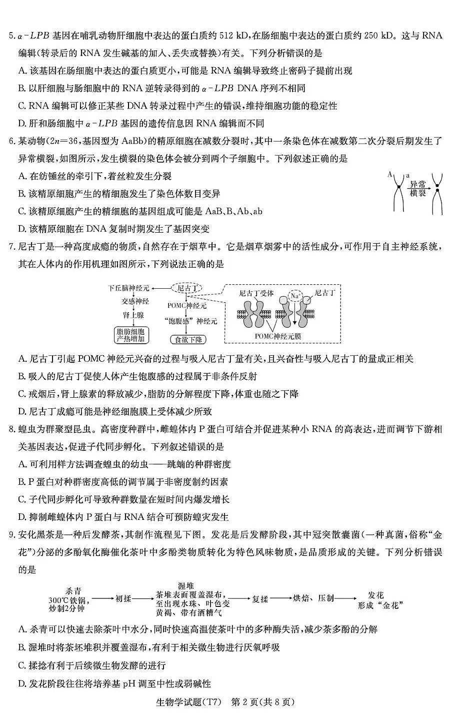 湖南师大附中2026届高三月考试卷（七）生物第2页