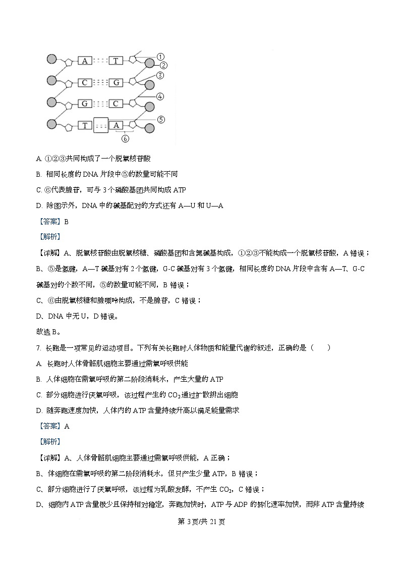 浙江强基联盟2026年3月高二下学期联考生物学试题 Word版含解析第3页
